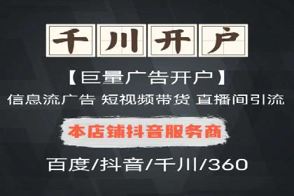 专业SEM服务公司案例分析报告